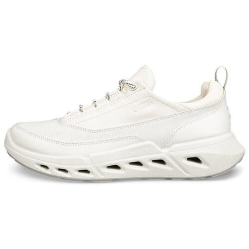 Schoenen dames Ecco Biom 720 Lea GTXS