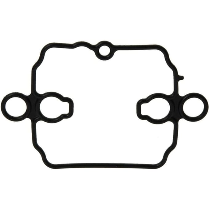 Briggs & stratton vlotterbakpakking