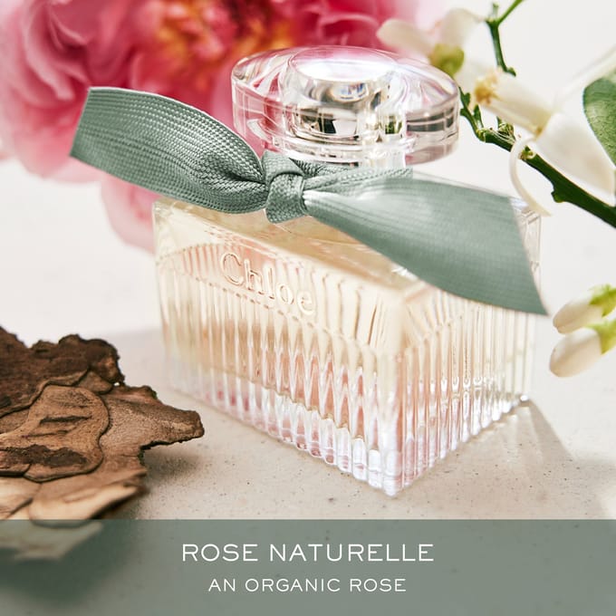 Chloé Eau de Parfum Spray Rose Naturelle Damesparfum Dames 100 ml