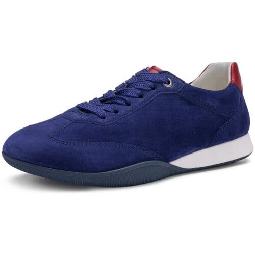 Lage Sneakers Ara -