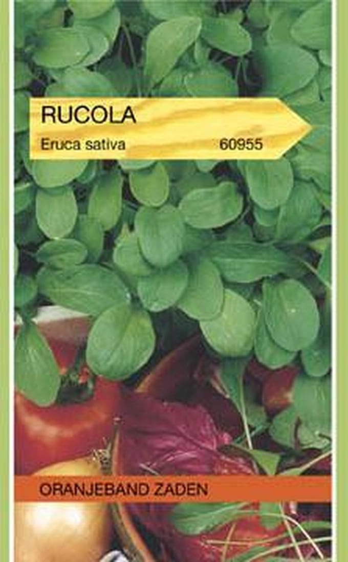 Rucola gewone