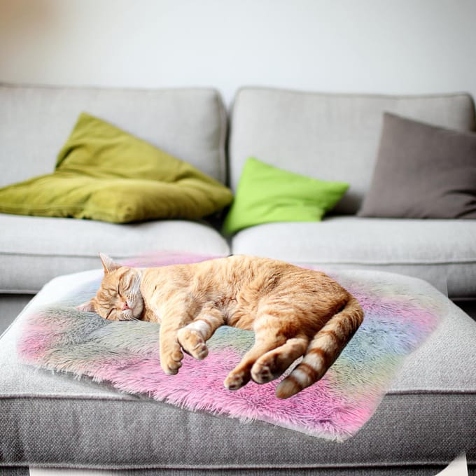 Kattenbed  Wasbare Kattenbedden voor Binnenkatten  Huisdierbed Innovatief Ontwerp  Veilig Warmend Comfortabel veelkleurig