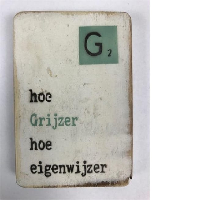 Houten Magneet 6x9 cm Grijzer