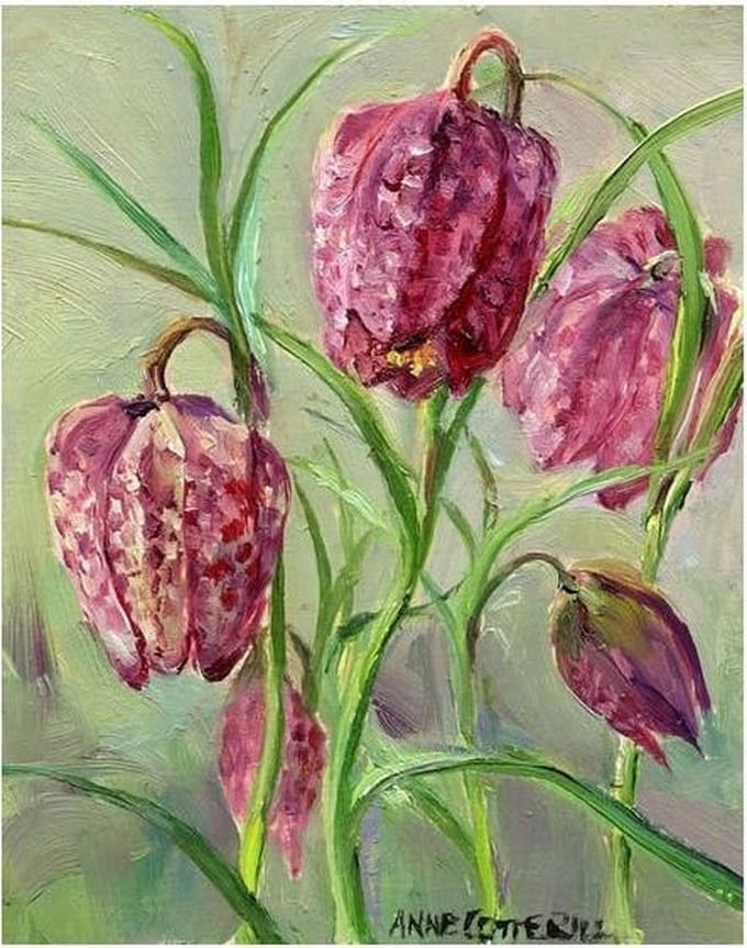 Cadeaukaart Kievitsbloems 7,5x9,5cm