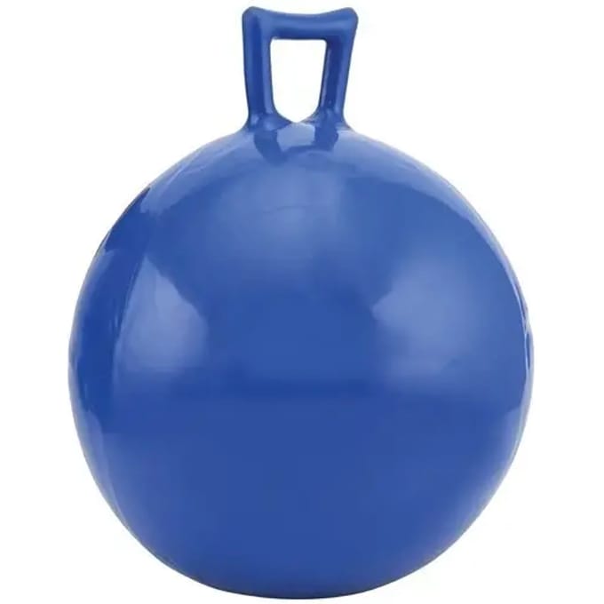 Paarden speelbal HorseGuard