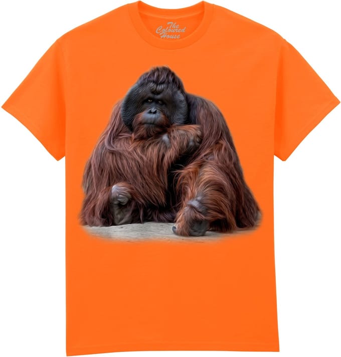 Orangoetan Wisdom Beyond Words - Orangutan The Coloured House T-shirt M