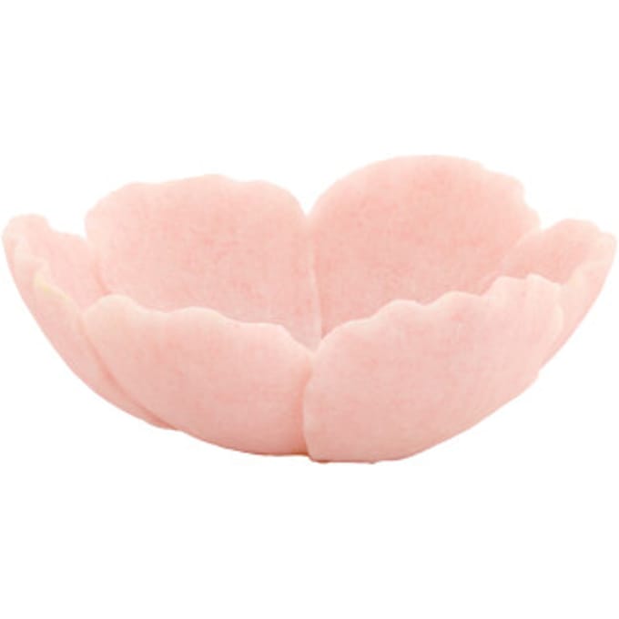 Light & Living - Schaal FRESIA - 25.5x24x9.5cm - Roze