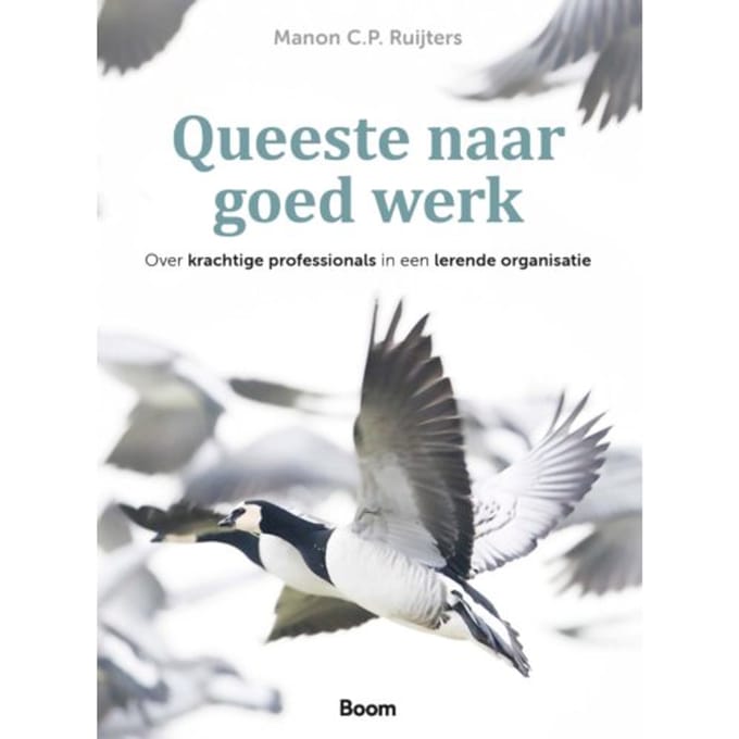 Queeste Naar Goed Werk - Manon C.P. Ruijters