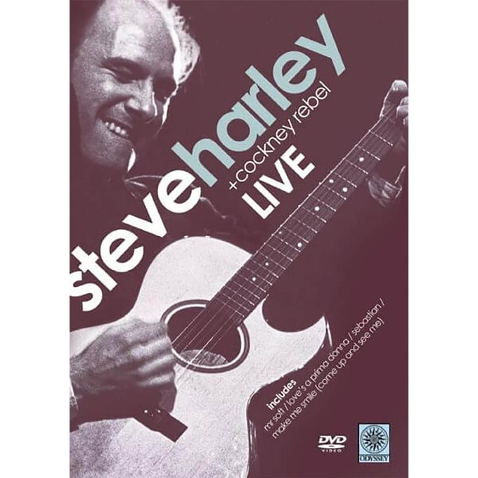 Steve Harley in Concert