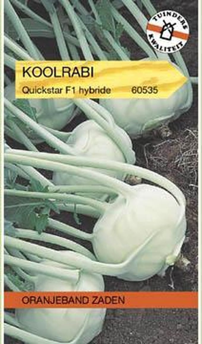 Oranjebandzaden -  Koolrabi Quickstar F1