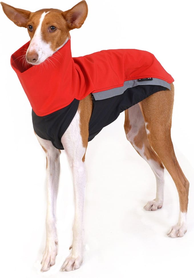 Hondenjas van Softshell - Rood - Softshell body - Windhond - Kelpie - Rapid Dog Wear - Maat L
