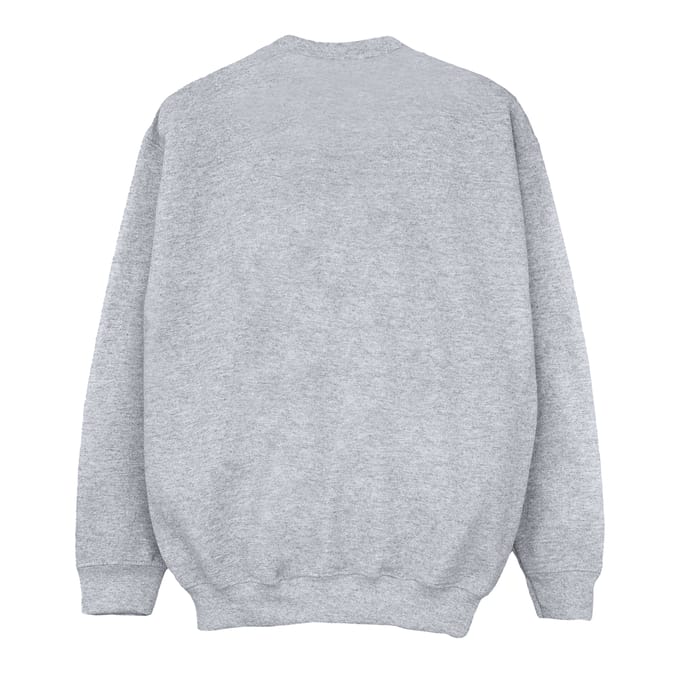 Harry Potter Jongens Gryffindor Katoenen Sweatshirt (Sportgrijs)