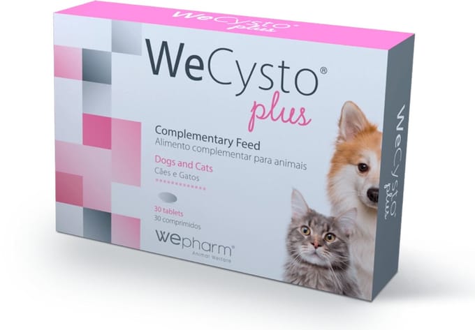 WePharm WeCysto Plus 30 tabletten