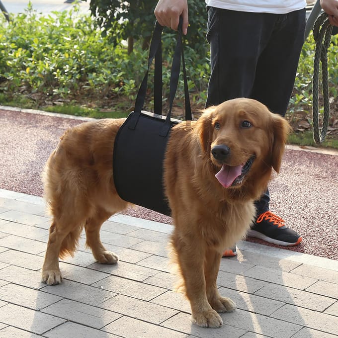 Til- en Ondersteuningsharnas met Handvat voor Honden Revalidatiehulp (S) black