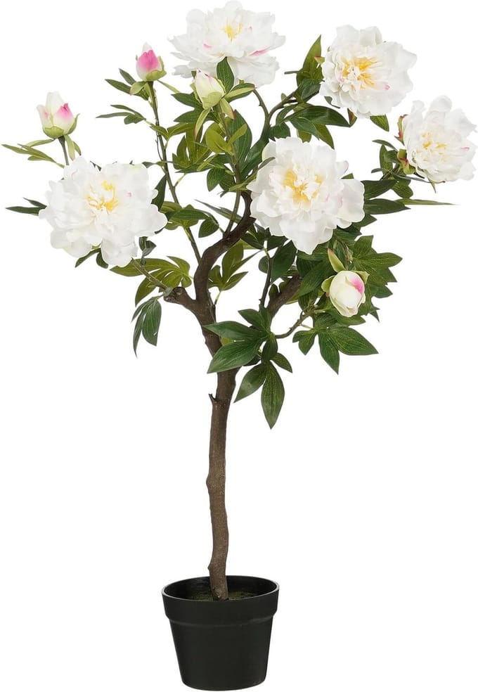 Mica Decorations Kunstbloem Peony - 40x50x96 cm - Polyester - Wit