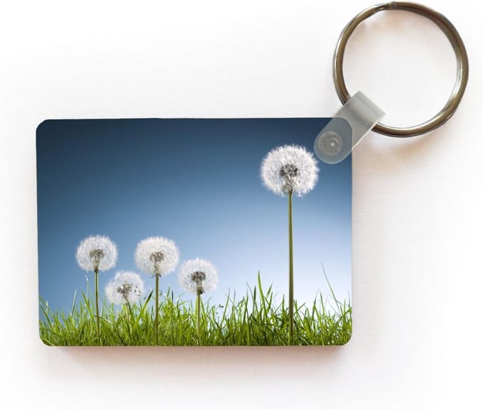 Sleutelhanger - Paardenbloem - Illustratie - Gras - Uitdeelcadeautjes - Plastic