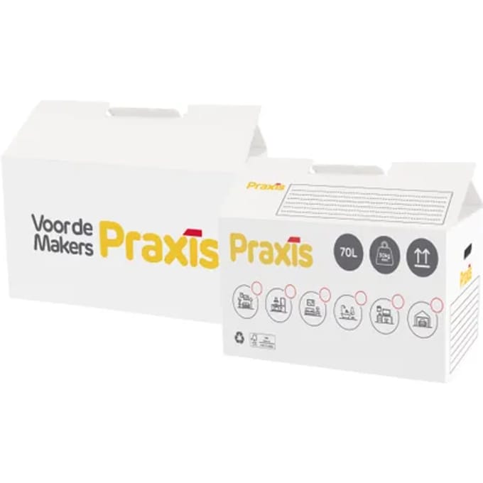 Praxis Verhuisdoos - Karton - 70l
