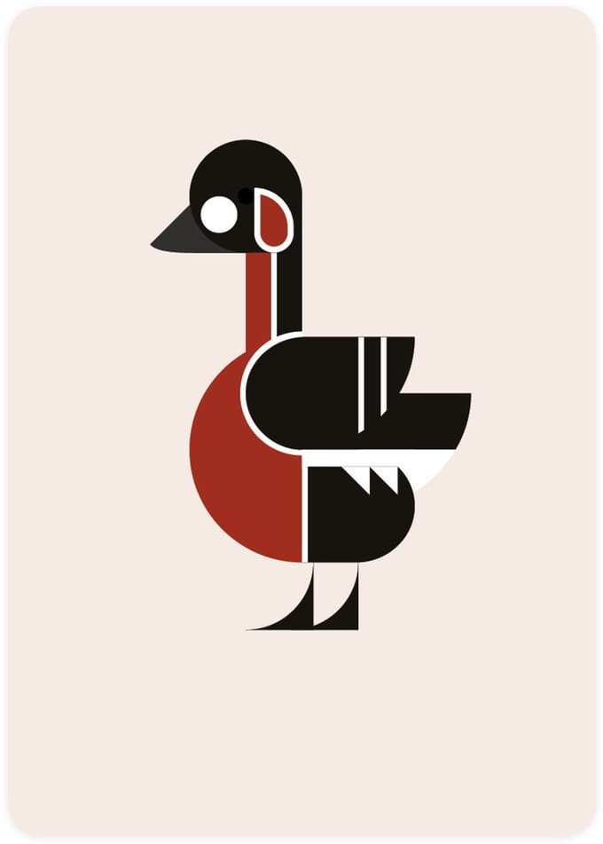 Eendje Wenskaarten - Set van 4 ansichtkaarten - Kaart met watervogel - Roodhalsgans