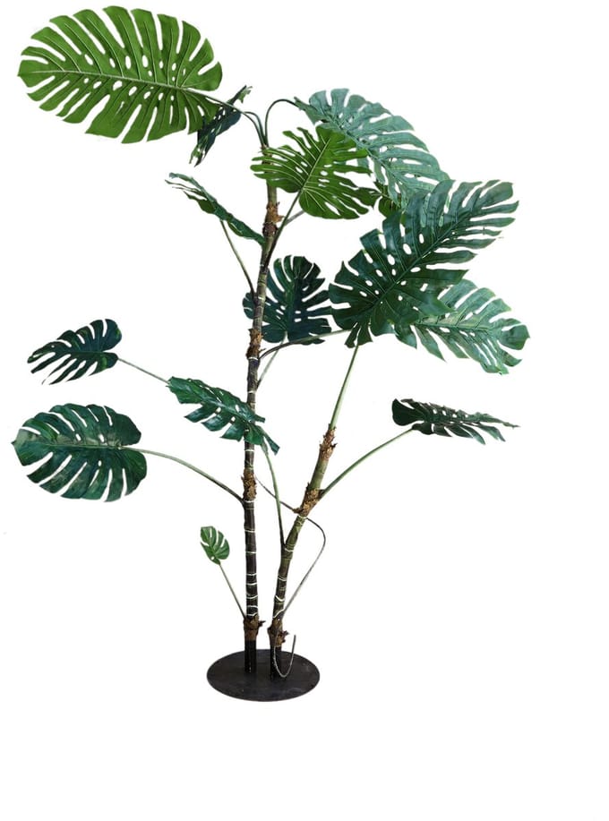 PTMD Tree Green Monstera Leaf Plant High S
