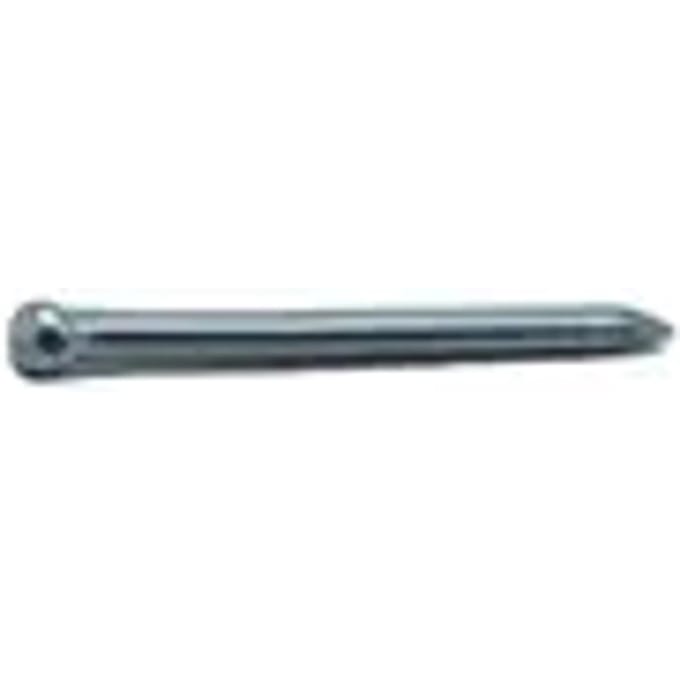 Sencys Spijkers Met Verloren Kop Gegalvaniseerd 1,2x20mm - 300 Stuks