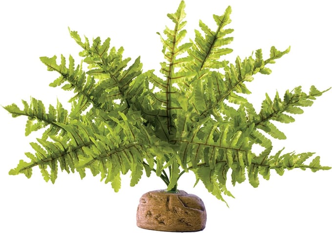 Exo Terra - Rainforest Plant Boston Fern Small