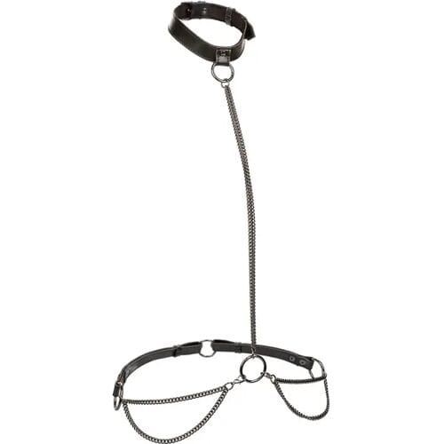 CalExotics - Euphoria Collection - Chain Halter/Collar & Leash