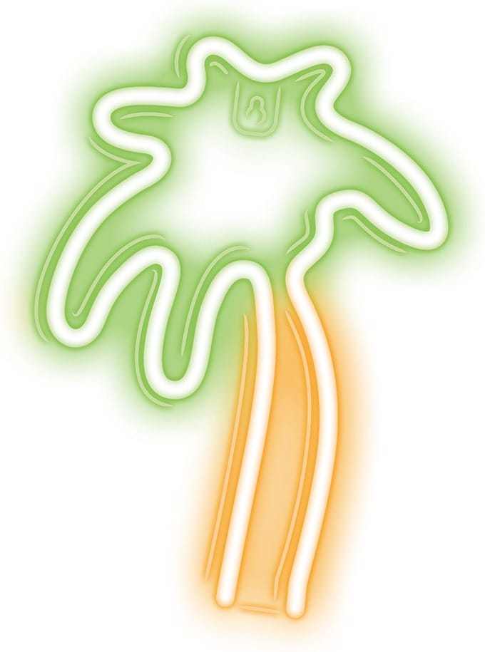 Forever Light Neon LED Light PALM green orange NNE04 Lichtdecoratie figuur