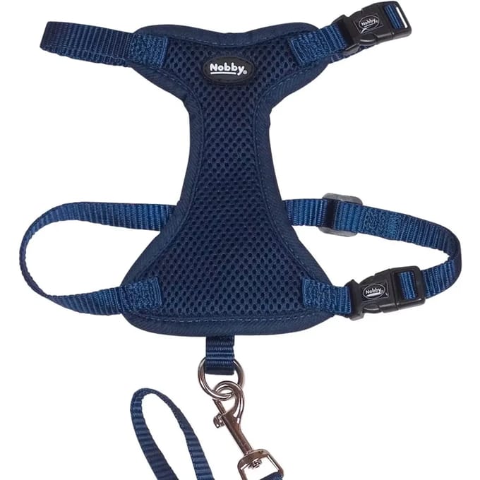 Nobby Harnasset voor kat - Mesh, L-XL, Blauw