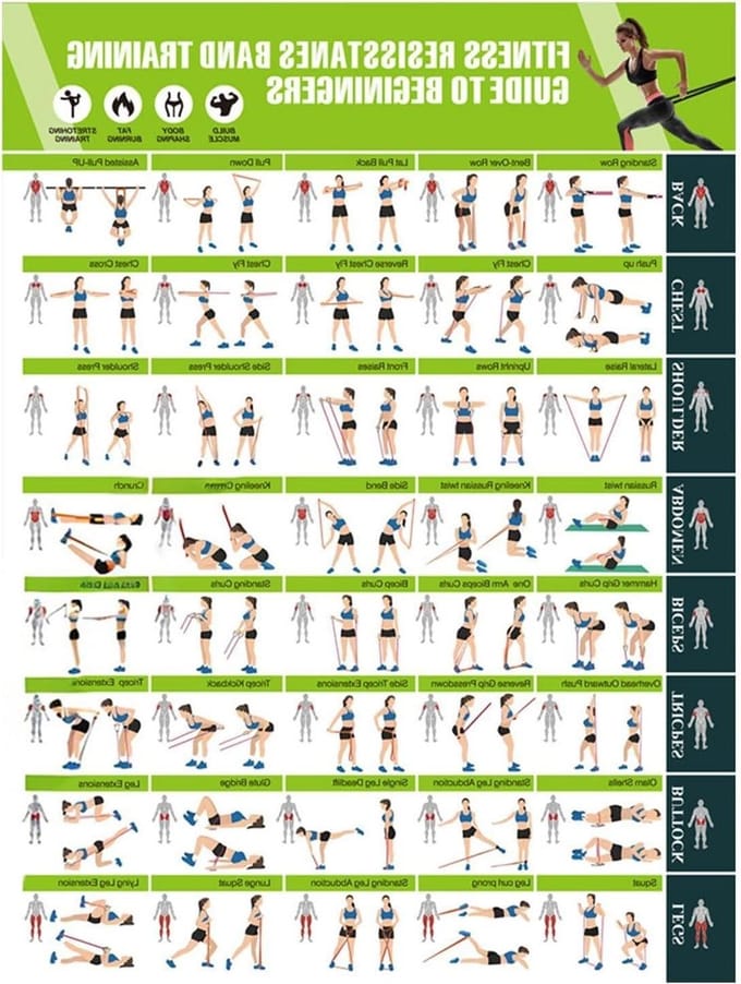 Workout Posters - Oefengids Grafiek - Spieropbouw Training - Geïllustreerde Bewegingen - 42.8 x 57.4 cm - Niet gespecificeerd