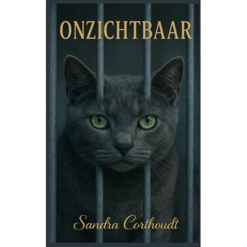 Onzichtbaar - Sandra Corthoudt