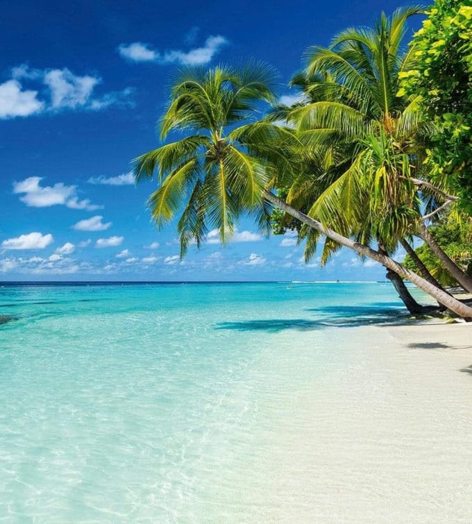 Fotobehang - Paradise Beach 225x250cm - Vliesbehang