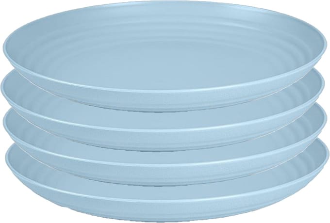 PlasticForte Rond bord/camping bord - 4x - D22 cm - ijsblauw - kunststof