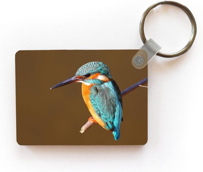 Sleutelhanger - IJsvogel - Takken - Kleurrijk - Uitdeelcadeautjes - Plastic