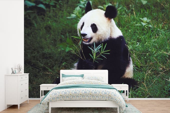 Behang - Fotobehang Panda - Wilde dieren - Bamboe - Gras - Breedte 450 cm x hoogte 300 cm