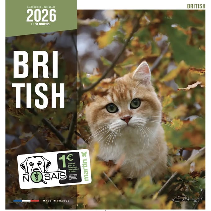 Kalender Martin Sellier British