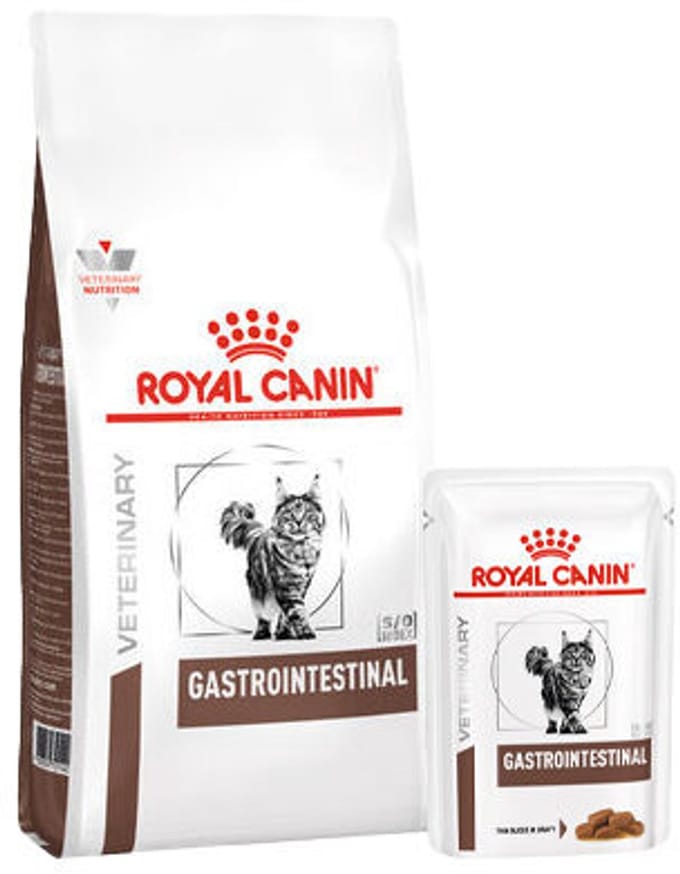 Royal Canin Gastro Intestinal Kat Combi bundel - 4 kg + 12 x 85 gr