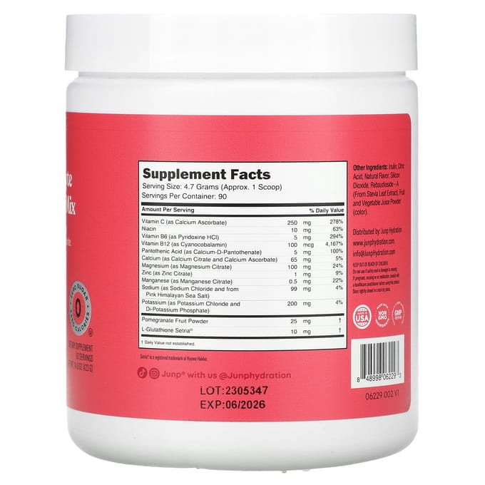 JUNP Hydratation, Mélange de Poudre d'Électrolytes, Fruits des Bois, 14,9 oz (423 g)
