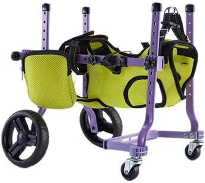 Honden Rolstoel - Mobiliteitshulpmiddel - Buitenwandelingen - Verstelbaar Frame - 40x21x10 cm - Zwart
