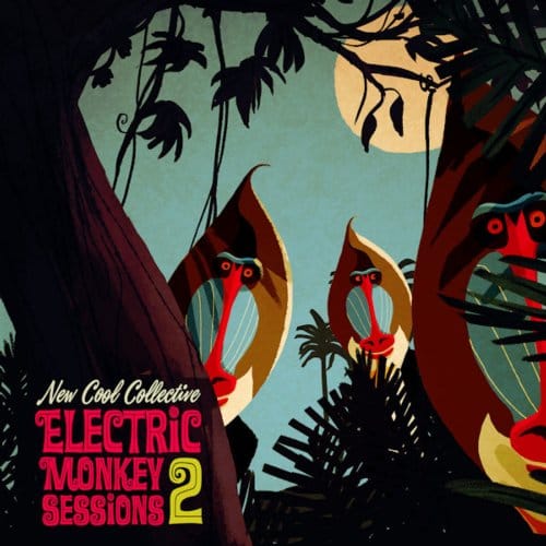 Electric Monkey Sessions 2 - New Cool Collective