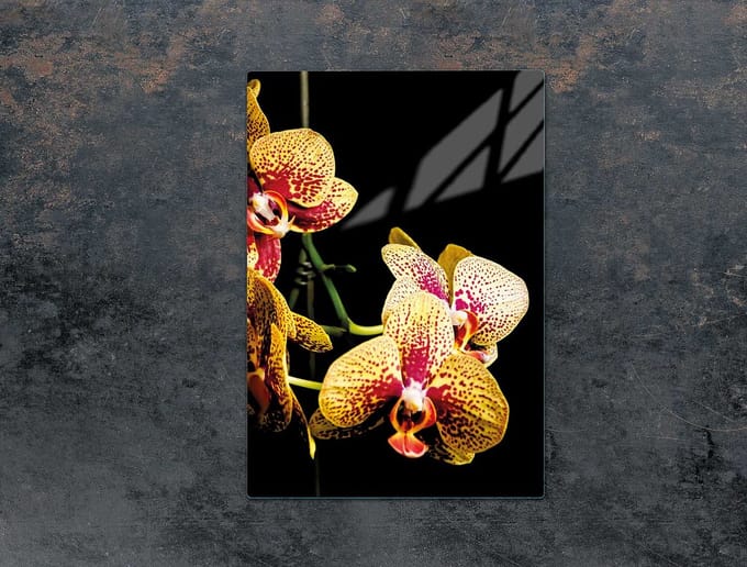 TMK ArtDeko Serie - Snijplank van Glas - 35x52 cm - Orchidee - Hittebestendig
