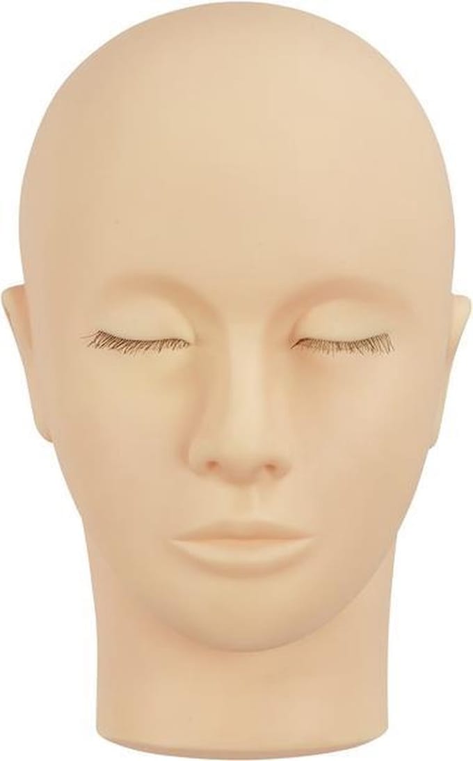 Training Head For Eyelash Applications