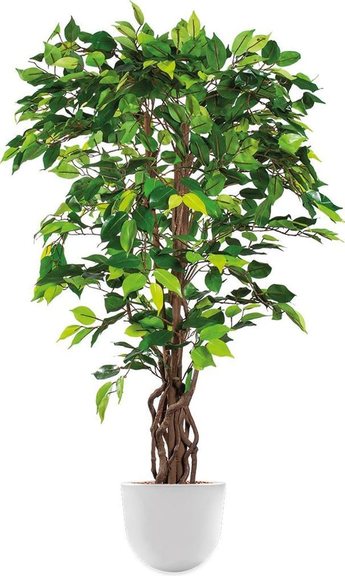 Kunstplant Ficus in Eggy H130 cm