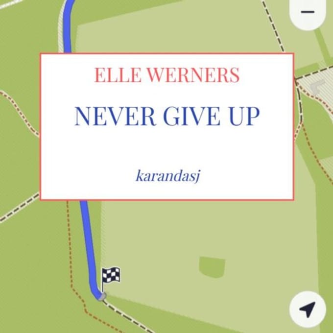 Never Give Up - ELLE WERNERS
