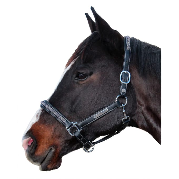 Halster voor paarden Flags&Cup Aachen