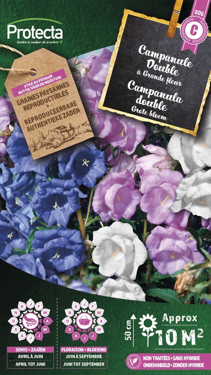 Protecta Bloemen zaden: Campanula dubbel gemengd