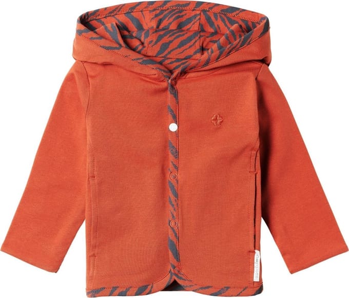 Noppies Capuchonvest Amagu - aan 2 zijden draagbaar