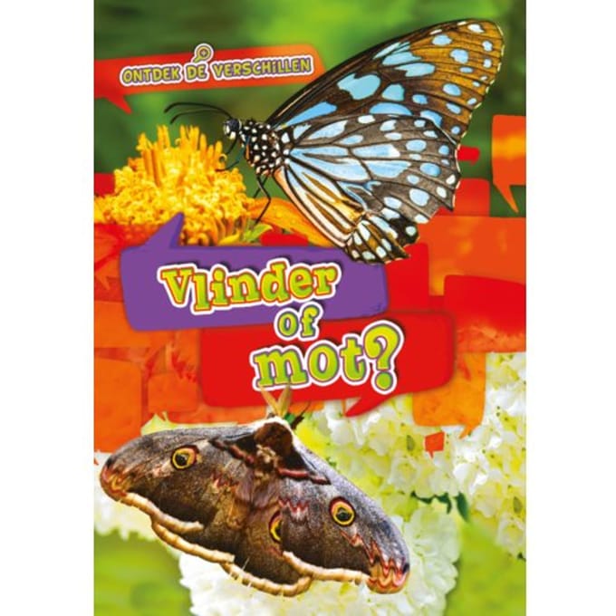Vlinder Of Mot? - Ontdek De Verschillen - Christina Leaf