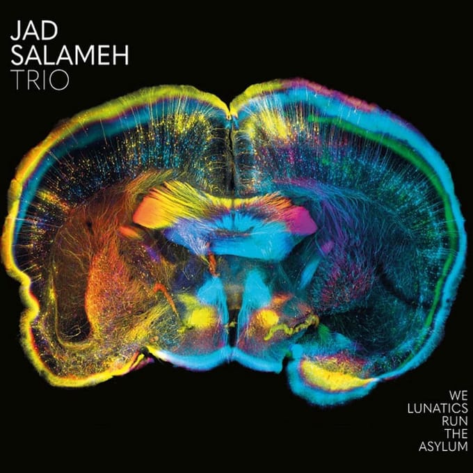 Jad Salameh Trio - We Lunatics Run The Asylum (CD)