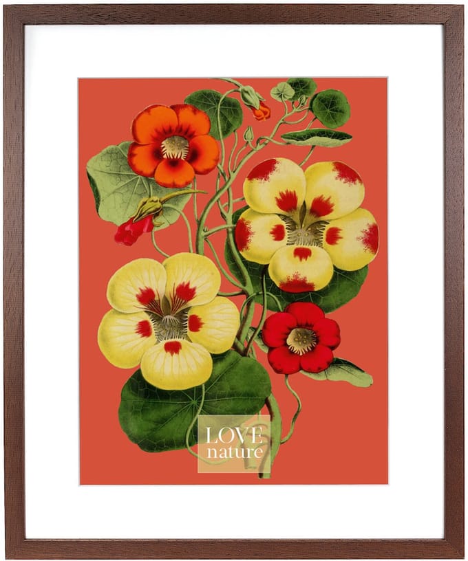 Goldbuch - Fotolijst Rustiq - Bruin - 40x50 cm