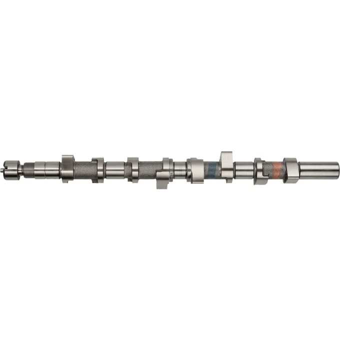 Nokkenas  AMC 647197